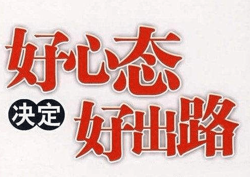 天津玉米价格最新行情深度解析，回顾与洞察