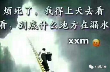 最新一期等着我深度解读与观点阐述