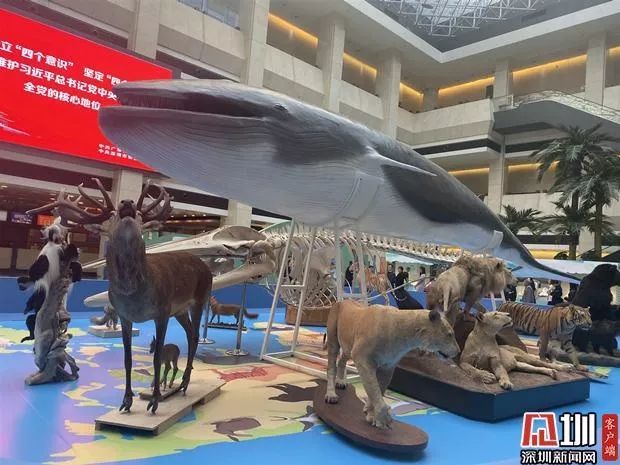 人与兽，自然美景探索之旅的轻松启程