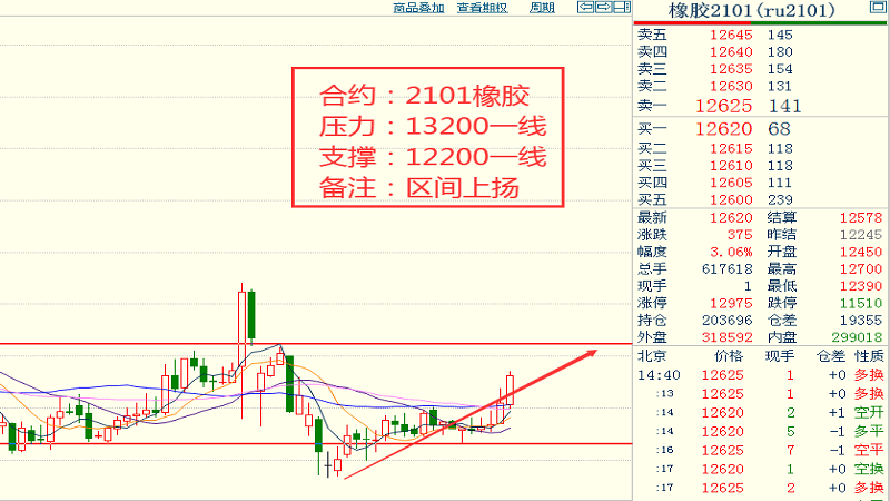 黑龙江大豆价格最新行情走势深度论述与分析