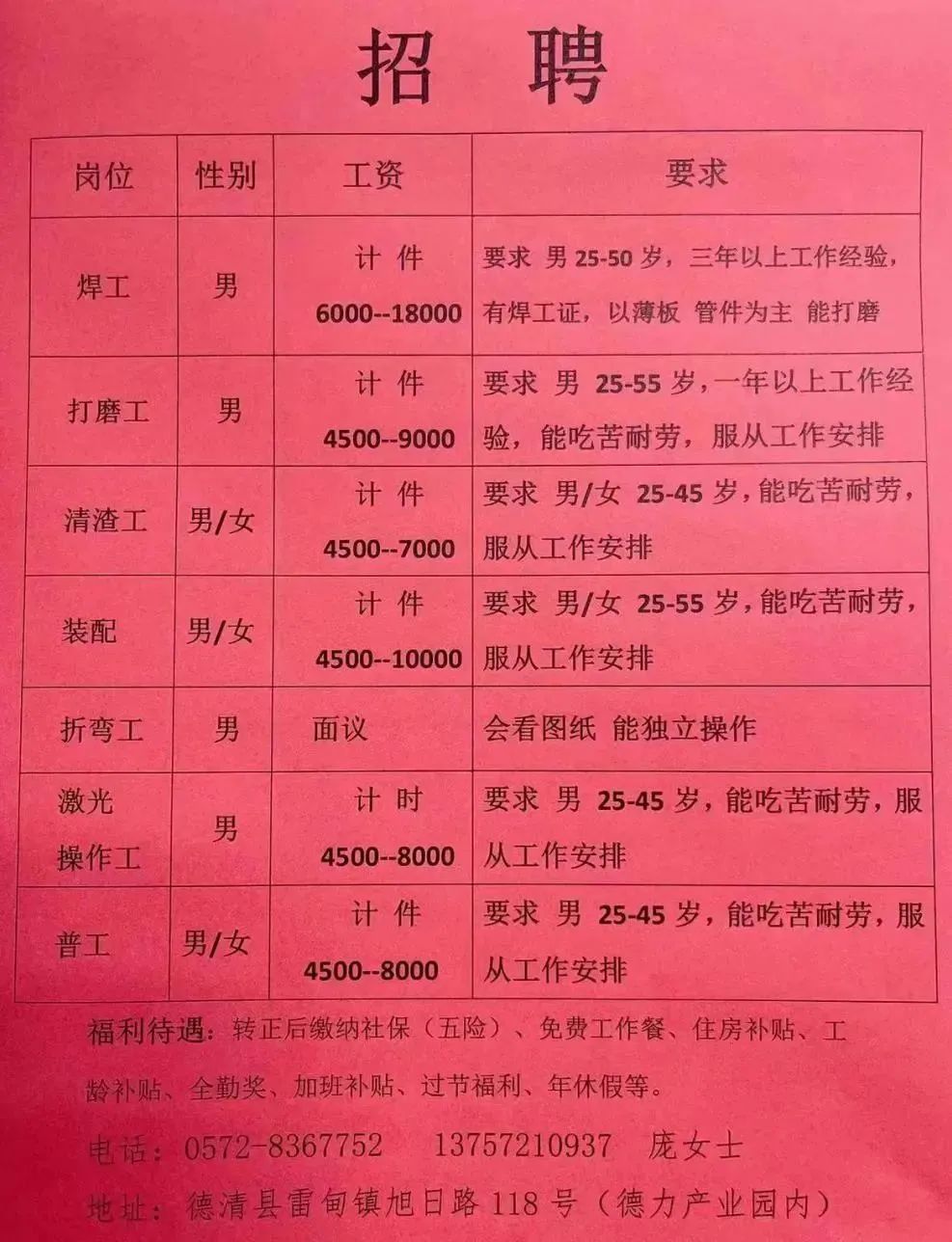 伊宁最新招聘信息探索，小巷深处的特色小店奇妙之旅